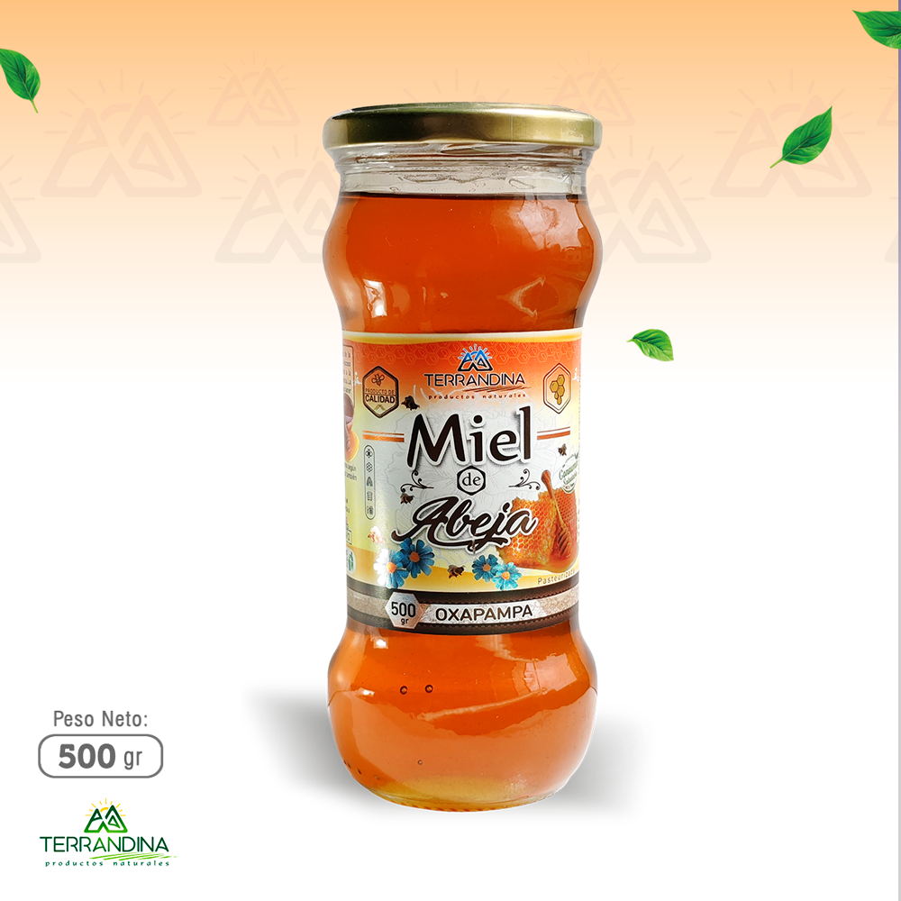 MIEL DE ABEJA x 500 GR - TERRAN