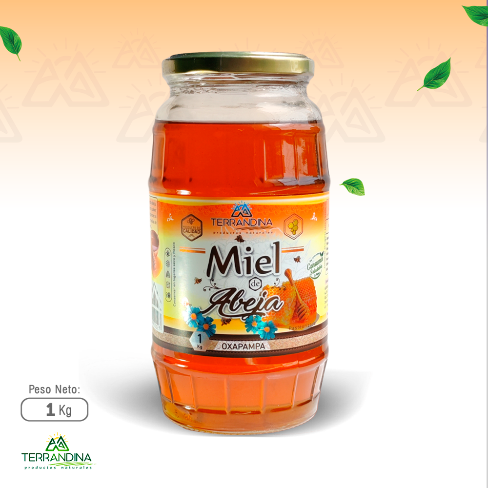 MIEL DE ABEJA x 1 KG - TERRAN