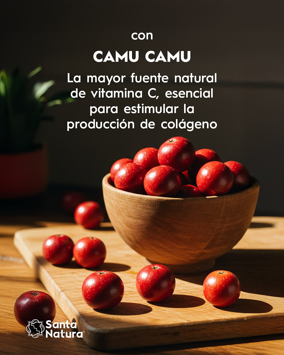 shop.kaynin.org promo