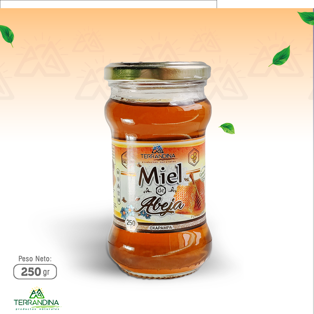 MIEL DE ABEJA x 250 GR - TERRA